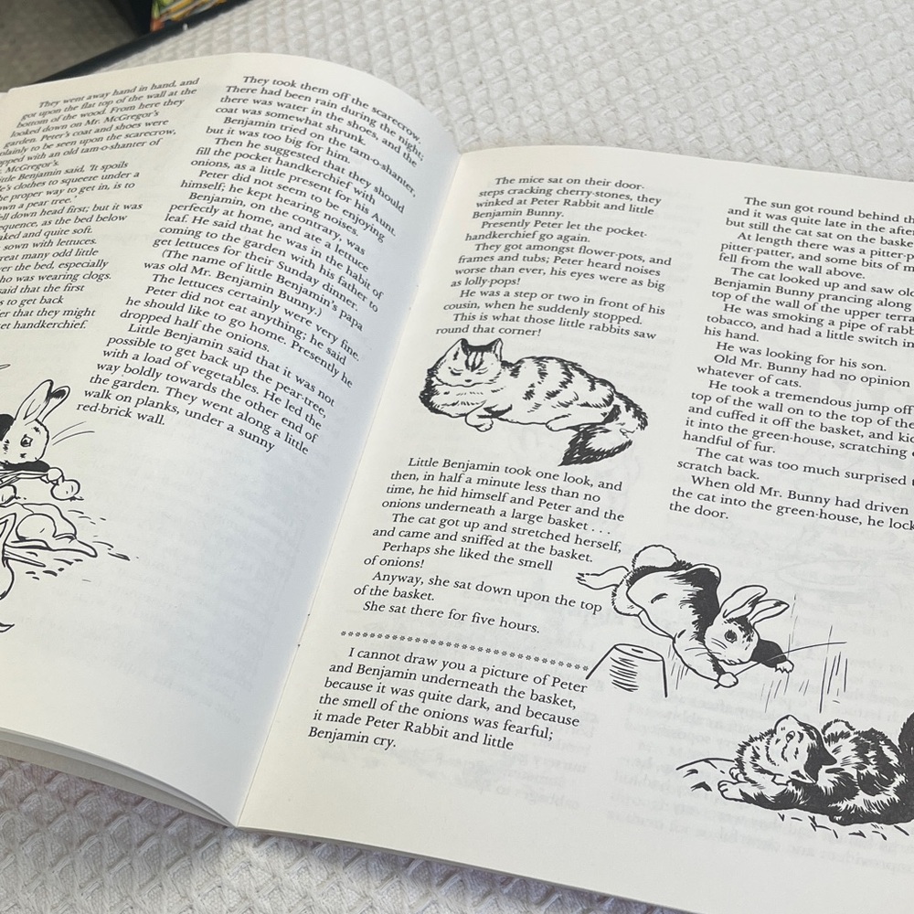 Vintage Colouring Book Featuring Peter Rabbit - Picture 8 of 9